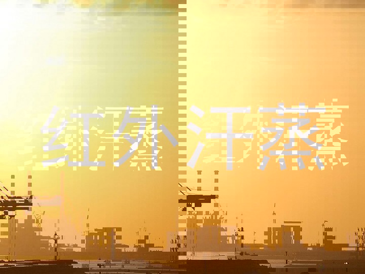 红外汗蒸