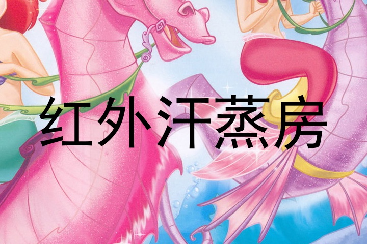红外汗蒸房