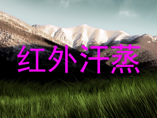 红外汗蒸