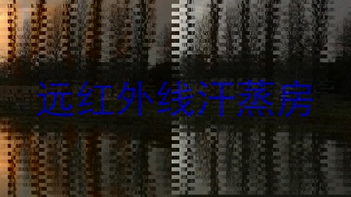 远红外线汗蒸房