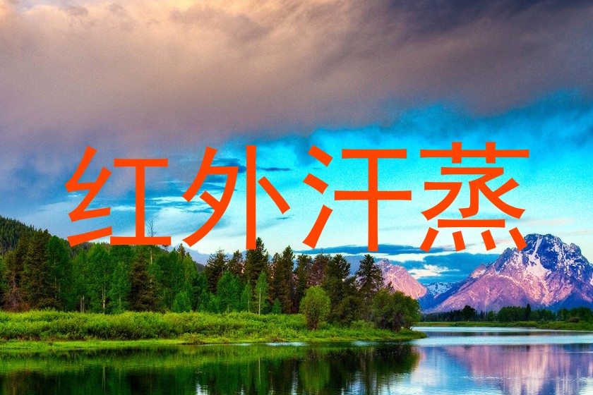 红外汗蒸