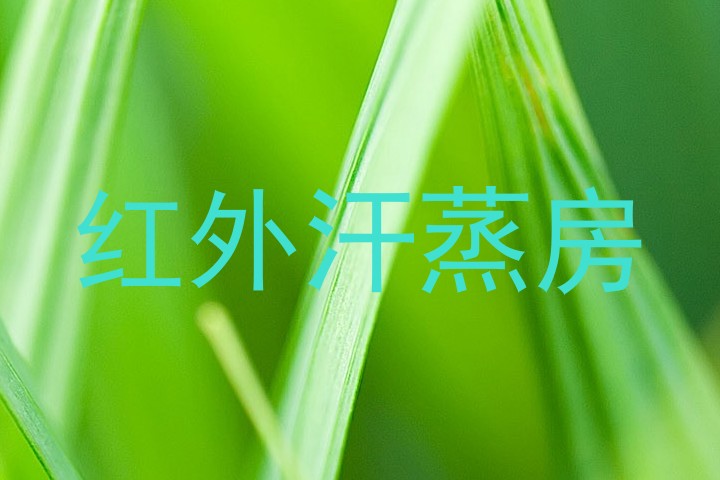红外汗蒸房