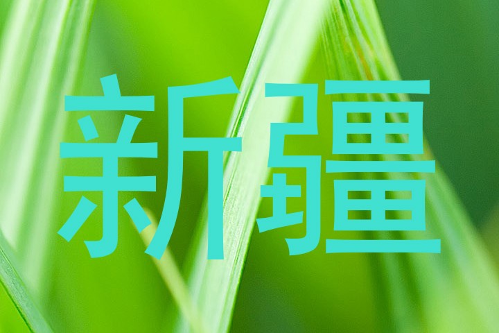 新疆