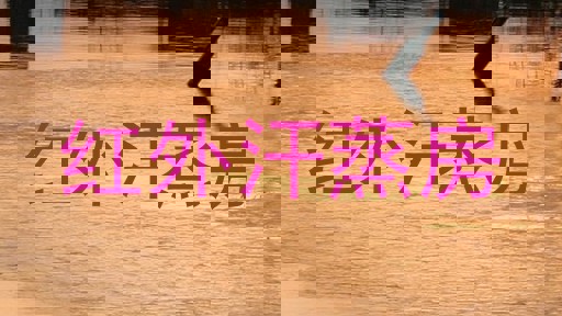 红外汗蒸房