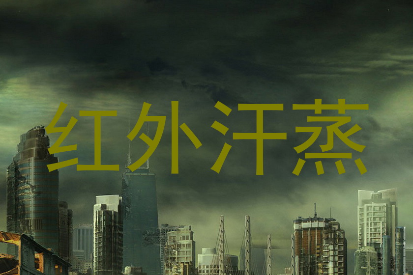 红外汗蒸