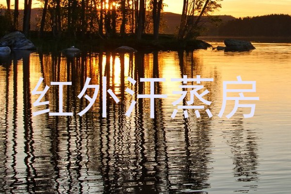 红外汗蒸房