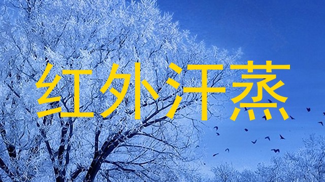 红外汗蒸