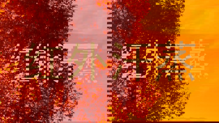 红外汗蒸
