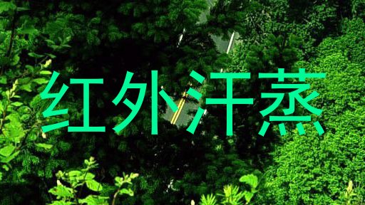 红外汗蒸