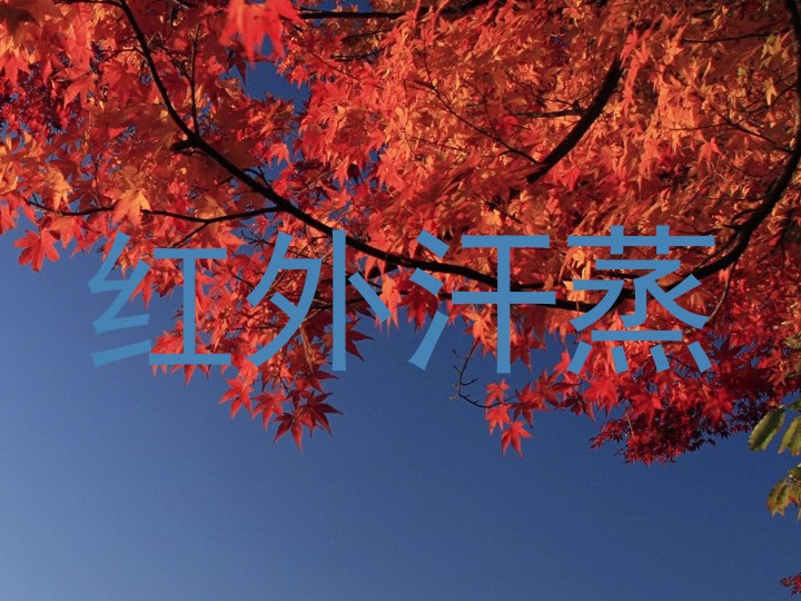 红外汗蒸