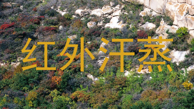 红外汗蒸