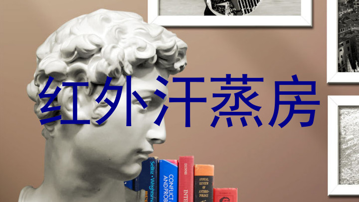 红外汗蒸房