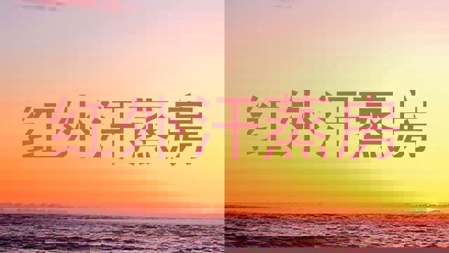 红外汗蒸房
