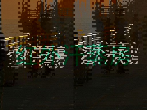 红外汗蒸房