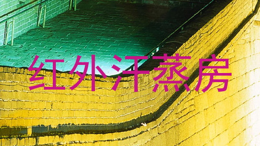 红外汗蒸房