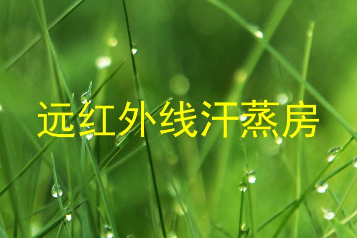 远红外线汗蒸房
