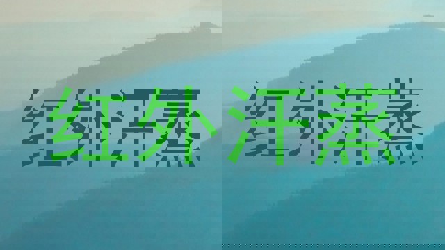 红外汗蒸