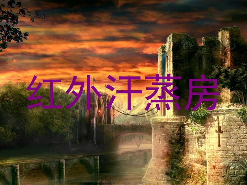 红外汗蒸房
