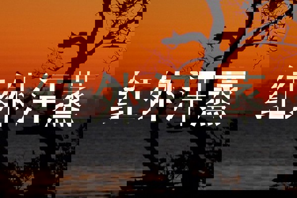 红外汗蒸
