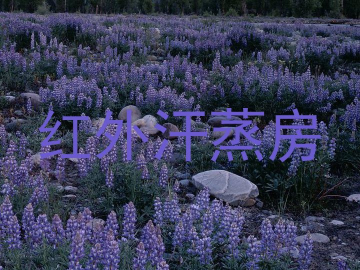 红外汗蒸房