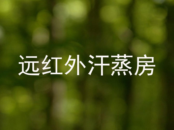 远红外汗蒸房
