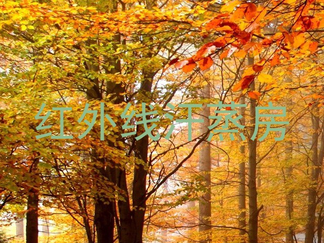 红外线汗蒸房