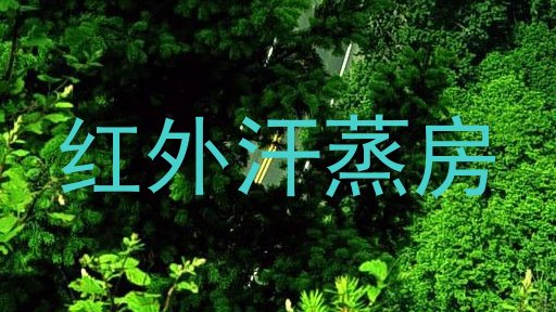 红外汗蒸房