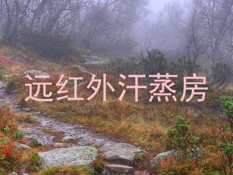 远红外汗蒸房