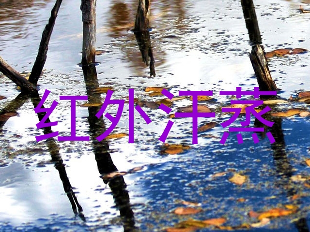 红外汗蒸