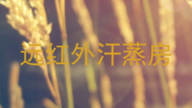 远红外汗蒸房