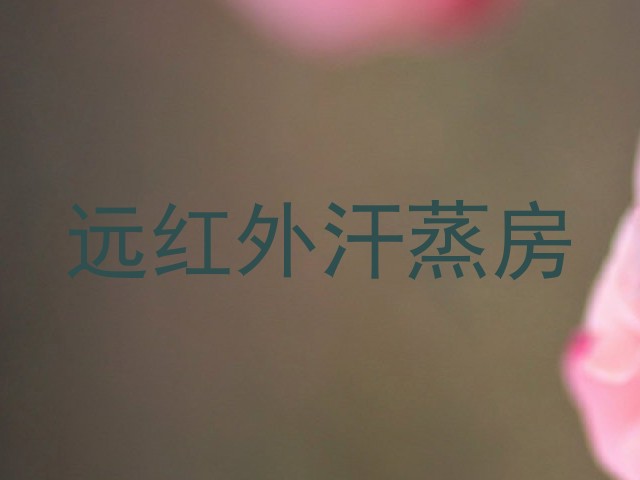 远红外汗蒸房