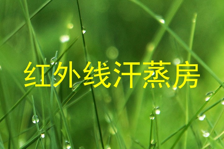 红外线汗蒸房