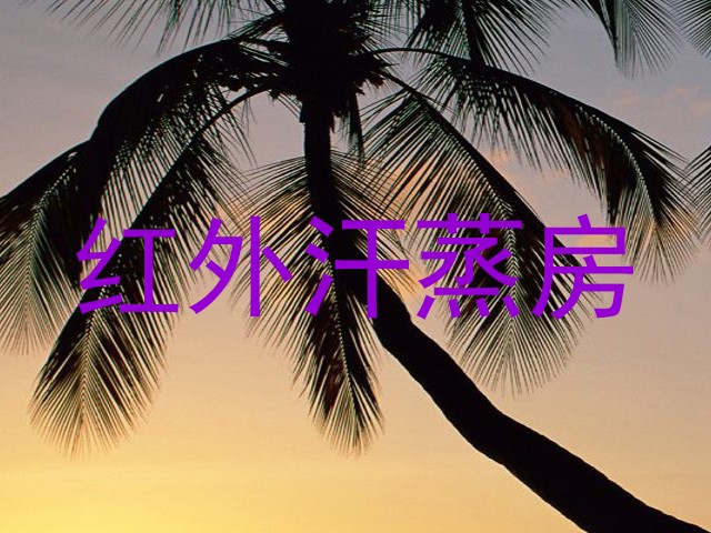 红外汗蒸房