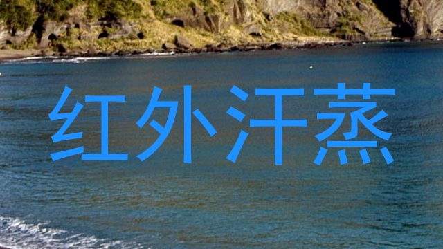 红外汗蒸