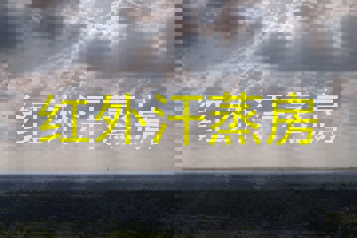 红外汗蒸房