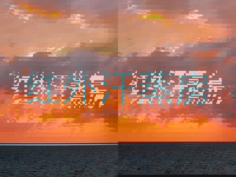 红外汗蒸房