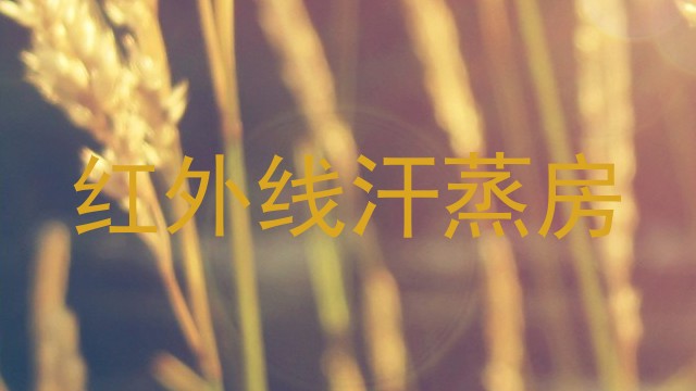 红外线汗蒸房
