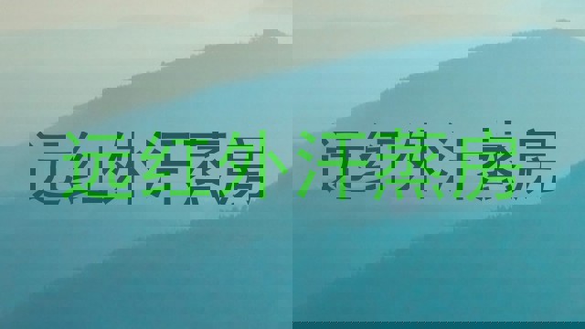 远红外汗蒸房