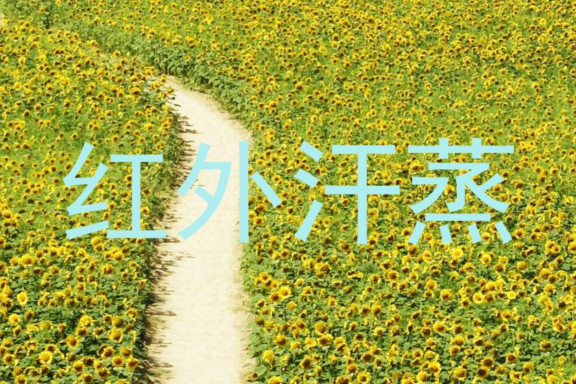 红外汗蒸