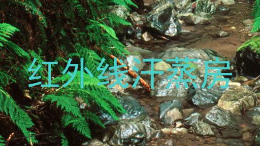 红外线汗蒸房