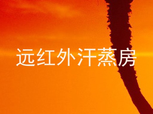 远红外汗蒸房