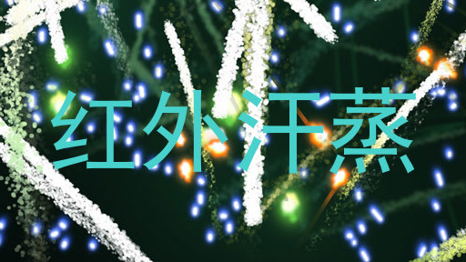 红外汗蒸