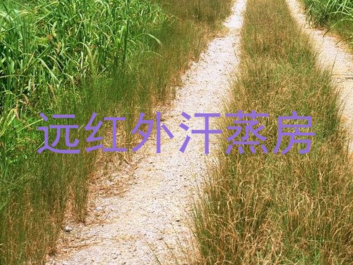 远红外汗蒸房