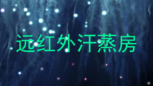 远红外汗蒸房