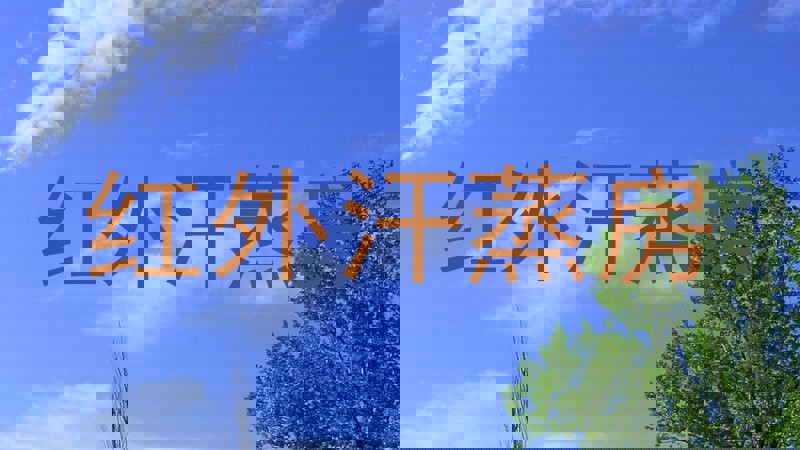 红外汗蒸房