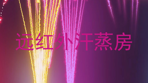 远红外汗蒸房