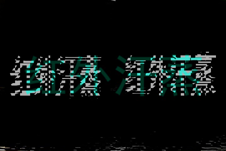 红外汗蒸