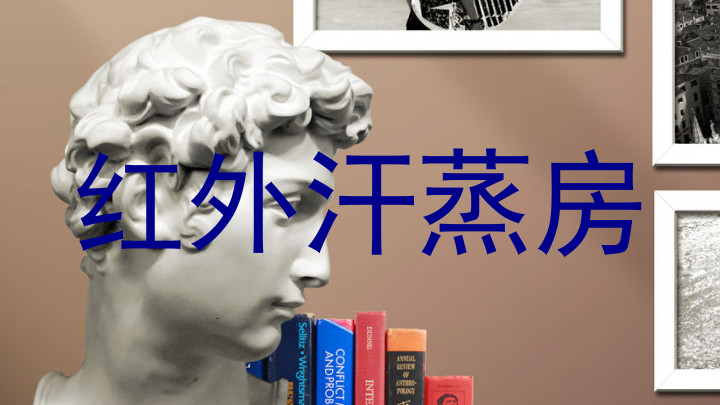 红外汗蒸房