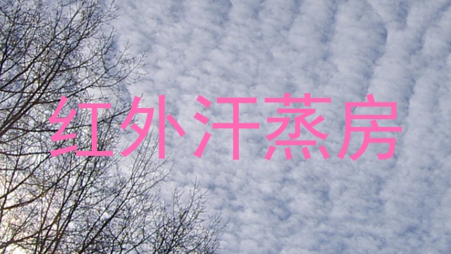 红外汗蒸房