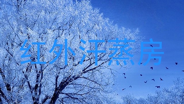 红外汗蒸房